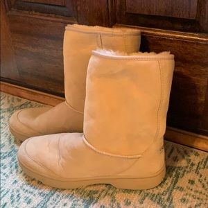 Men’s Classic Uggs